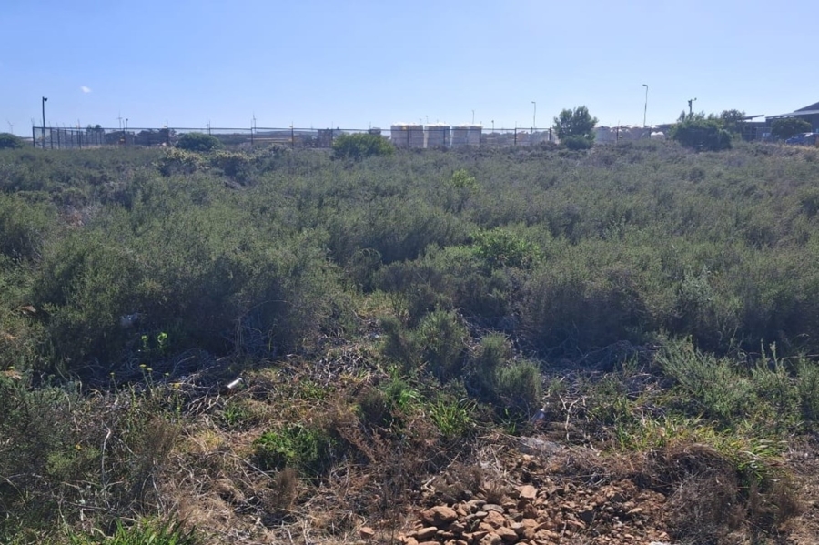 Commercial Property for Sale in Fountains Estate Eastern Cape